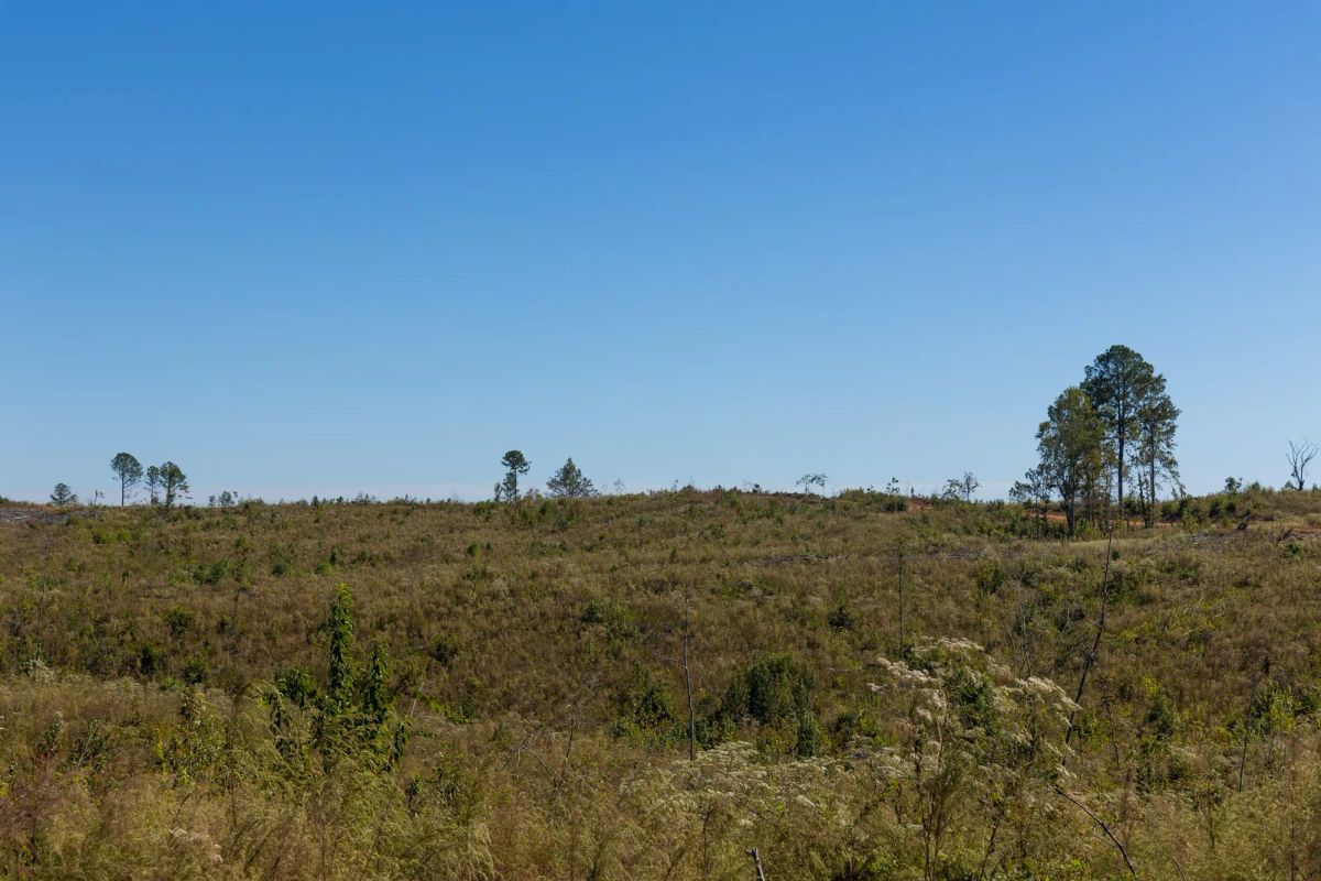 Decorative background for Meyer’s Ridge Tract 6 image 14