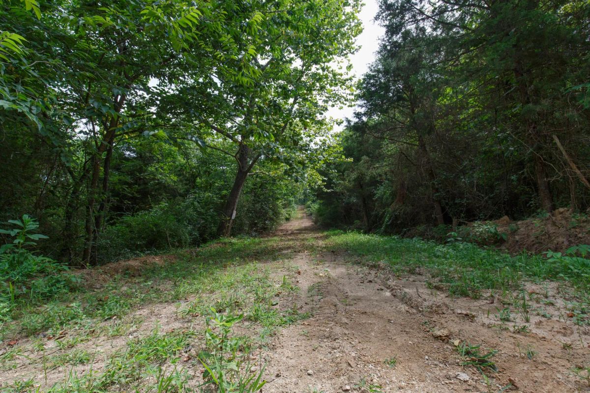 Spring Lake Plat 6 Tract 6 - Main image