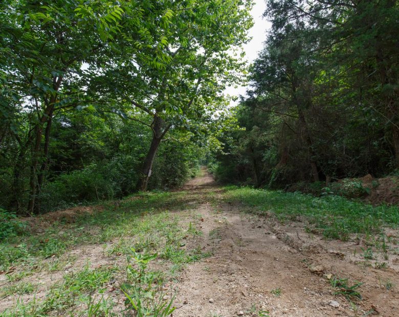 Spring Lake Plat 6 Tract 6 in Miller County, MO