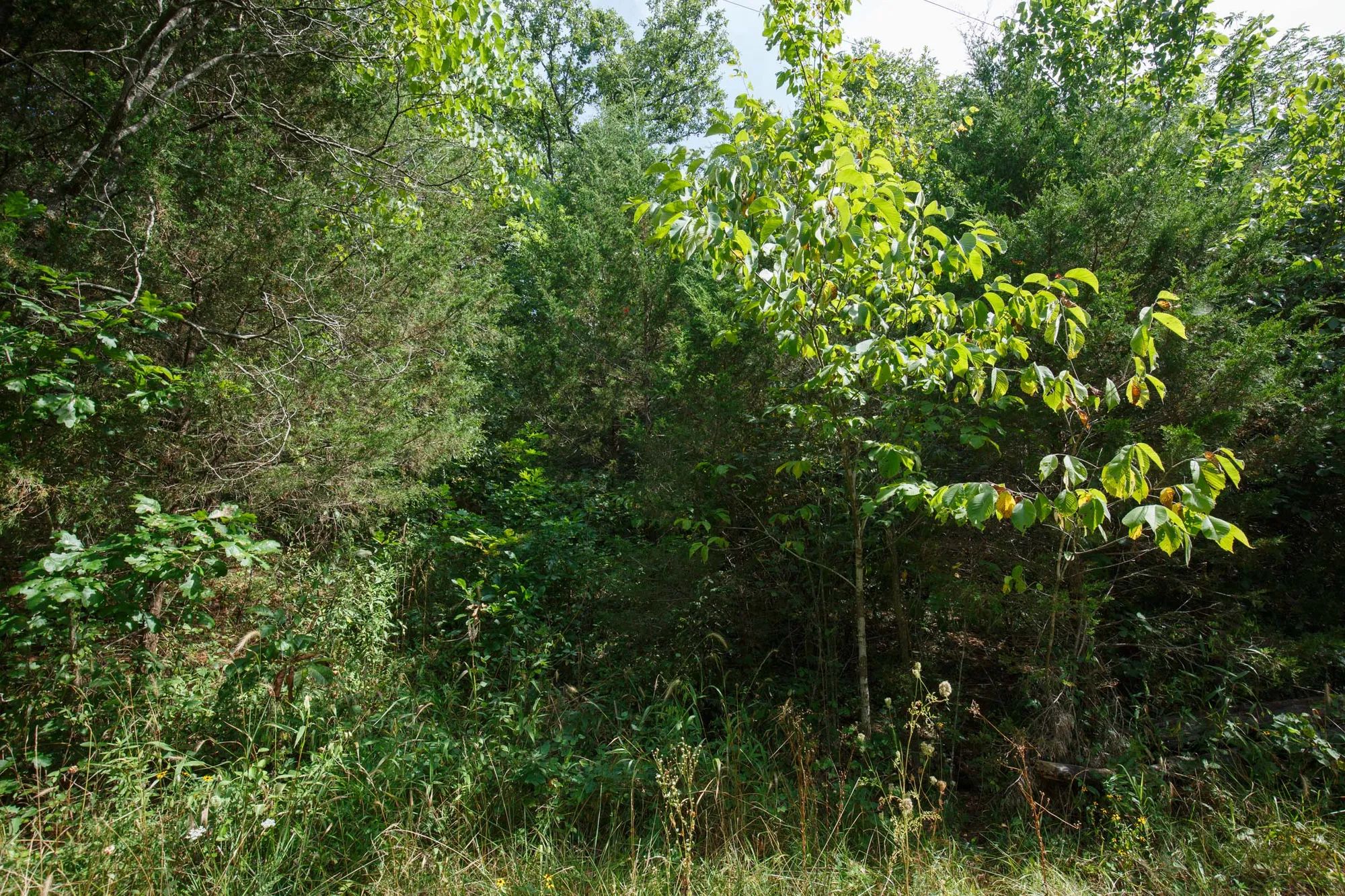 Spring Lake Plat 6 Tract 6 in Miller County, MO