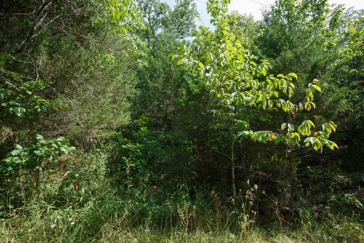 Spring Lake Plat 6 Tract 6 - Image 2