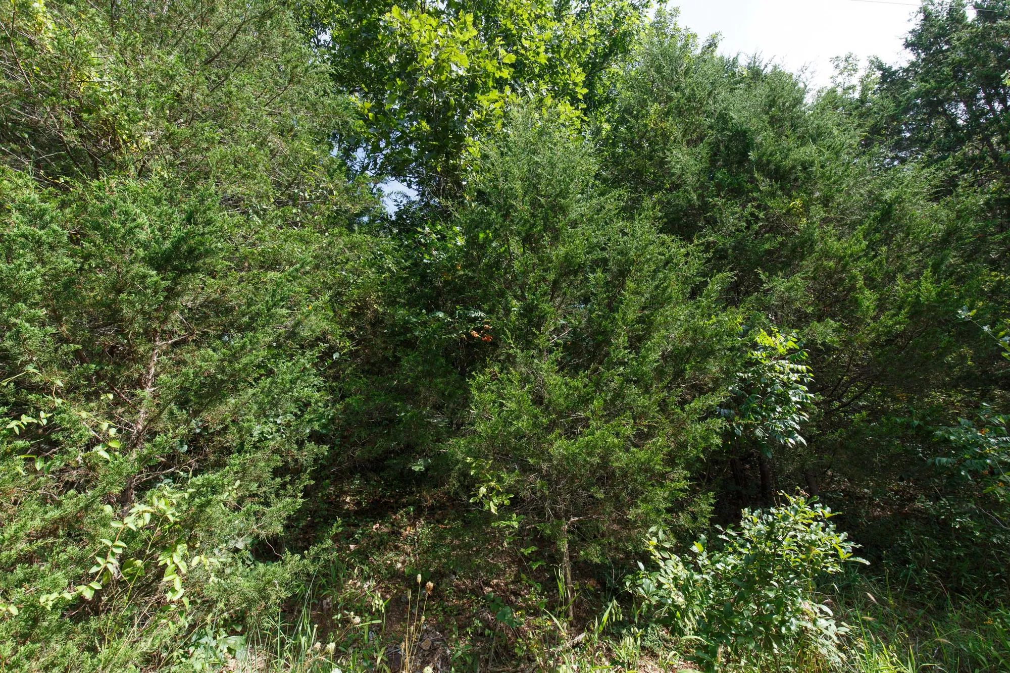 Spring Lake Plat 6 Tract 6 in Miller County, MO