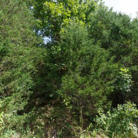 Spring Lake Plat 6 Tract 6 in Miller County, MO