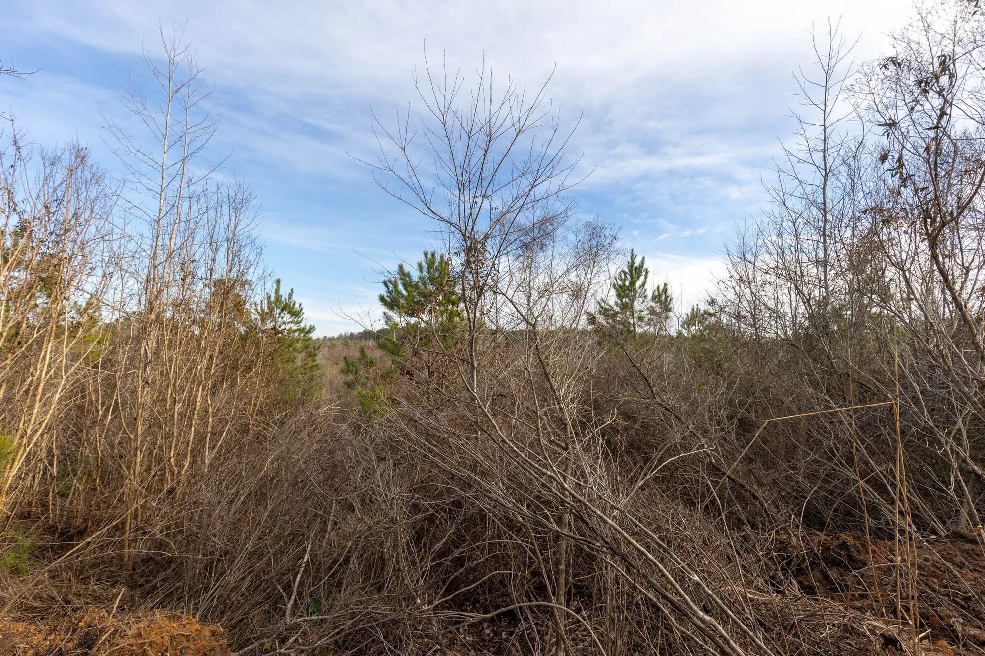 Baker Creek Tract 12 in Fayette County, AL