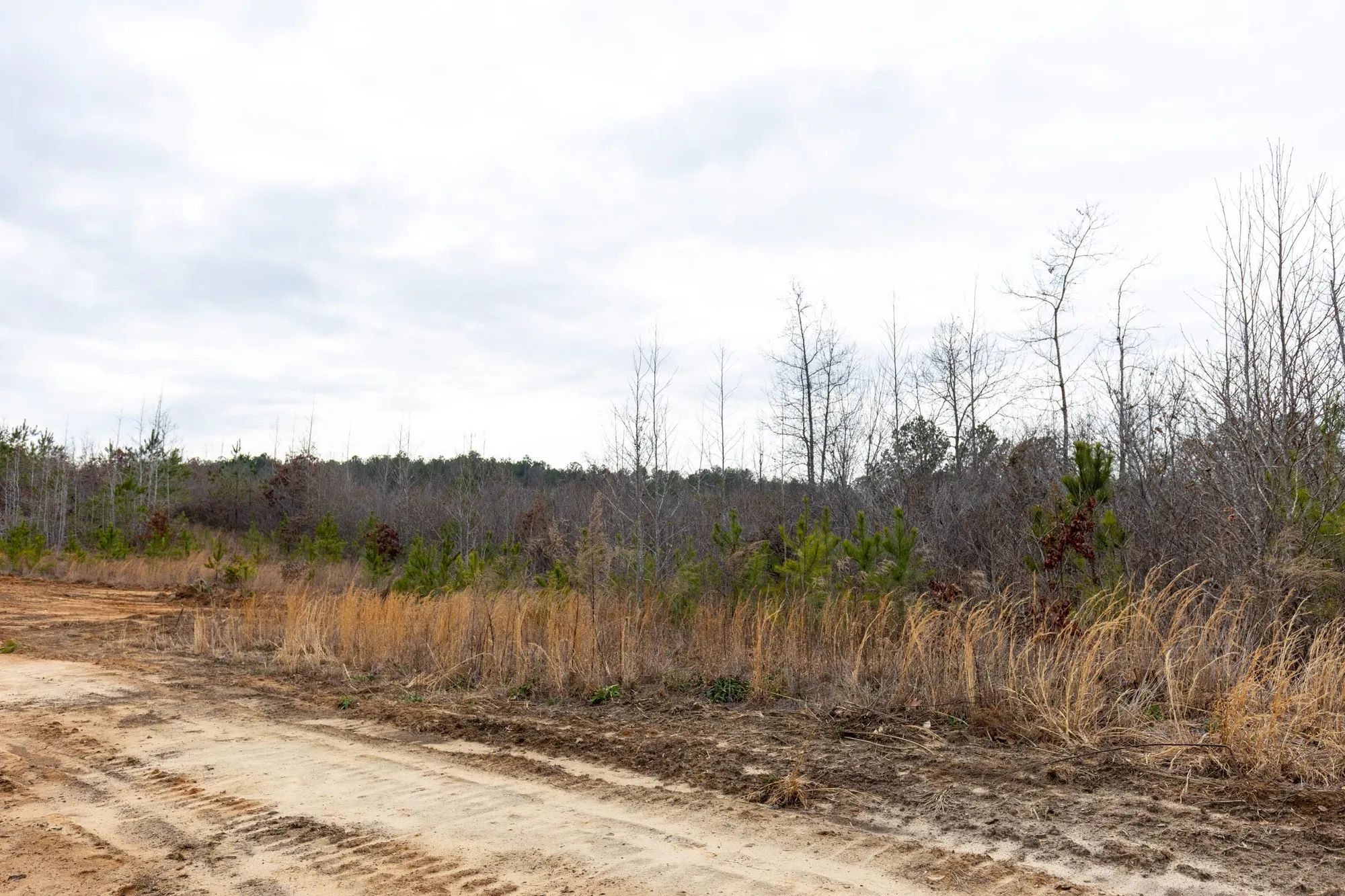 Baker Creek Tract 12 in Fayette County, AL
