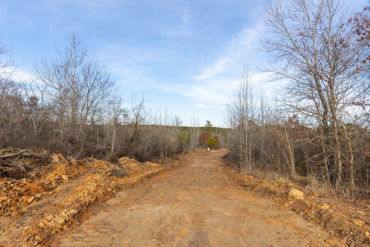 Decorative background for Baker Creek Tract 12 image 5