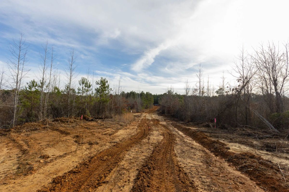 Decorative background for Baker Creek Tract 12 image 7