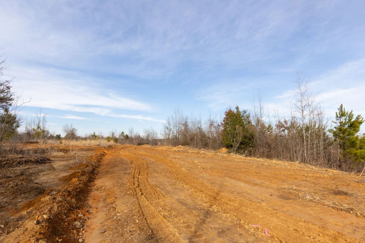 Decorative background for Baker Creek Tract 12 image 8