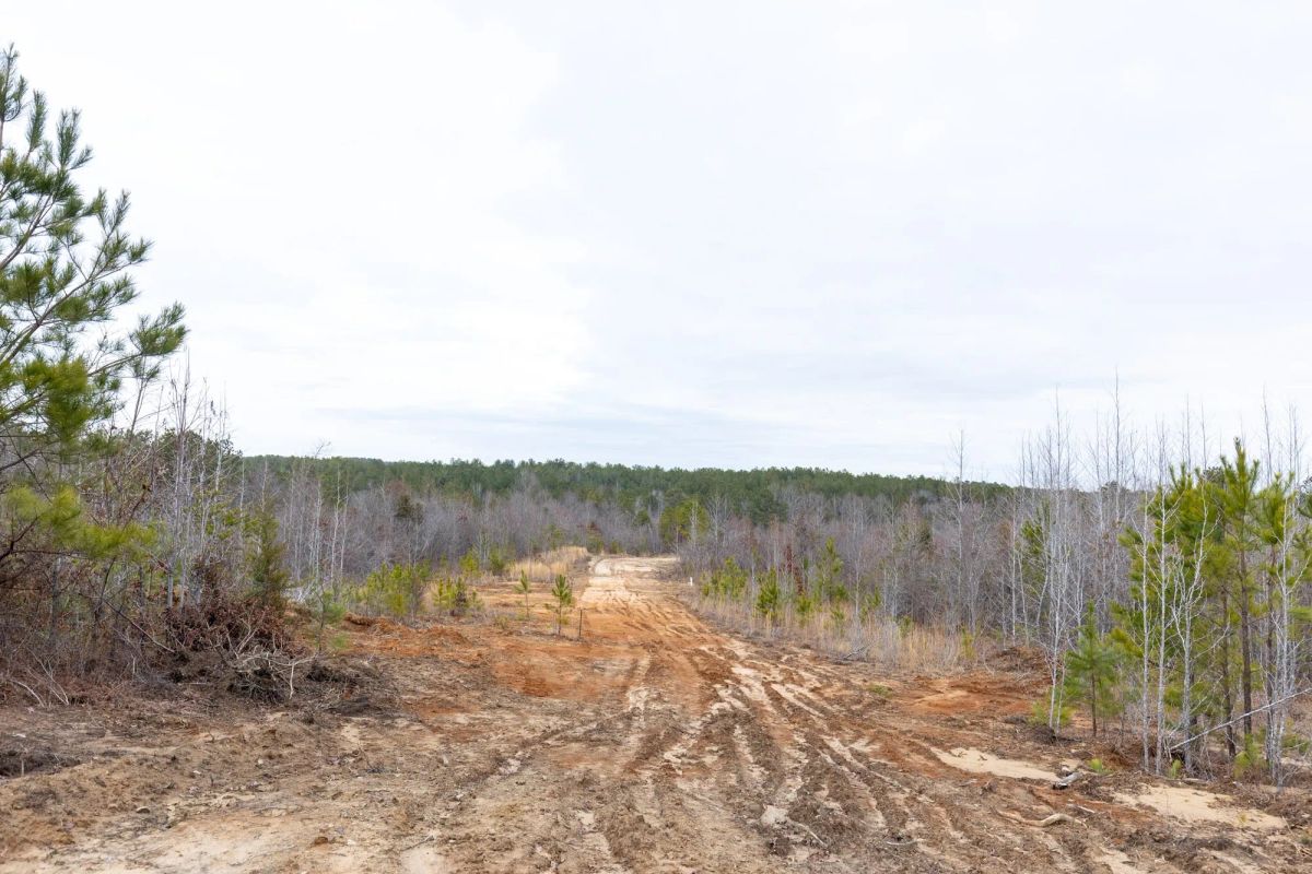 Decorative background for Baker Creek Tract 12 image 9