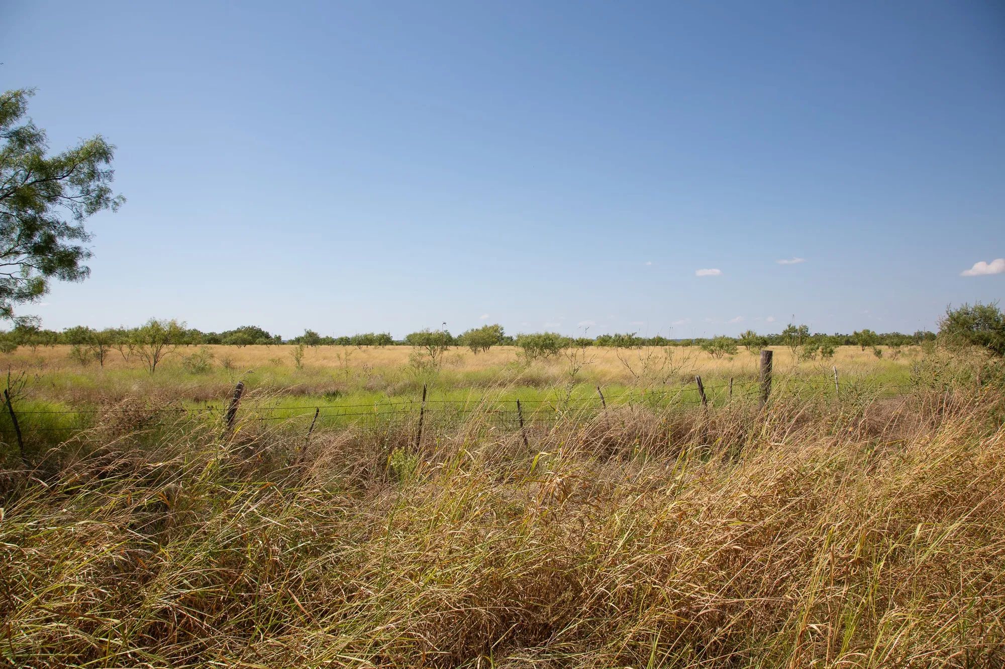 Hunter’s Ranch Tract 7 in McCulloch County, TX