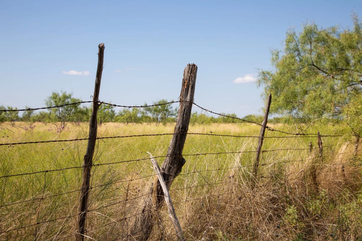 Hunter’s Ranch Tract 7 - Image 3