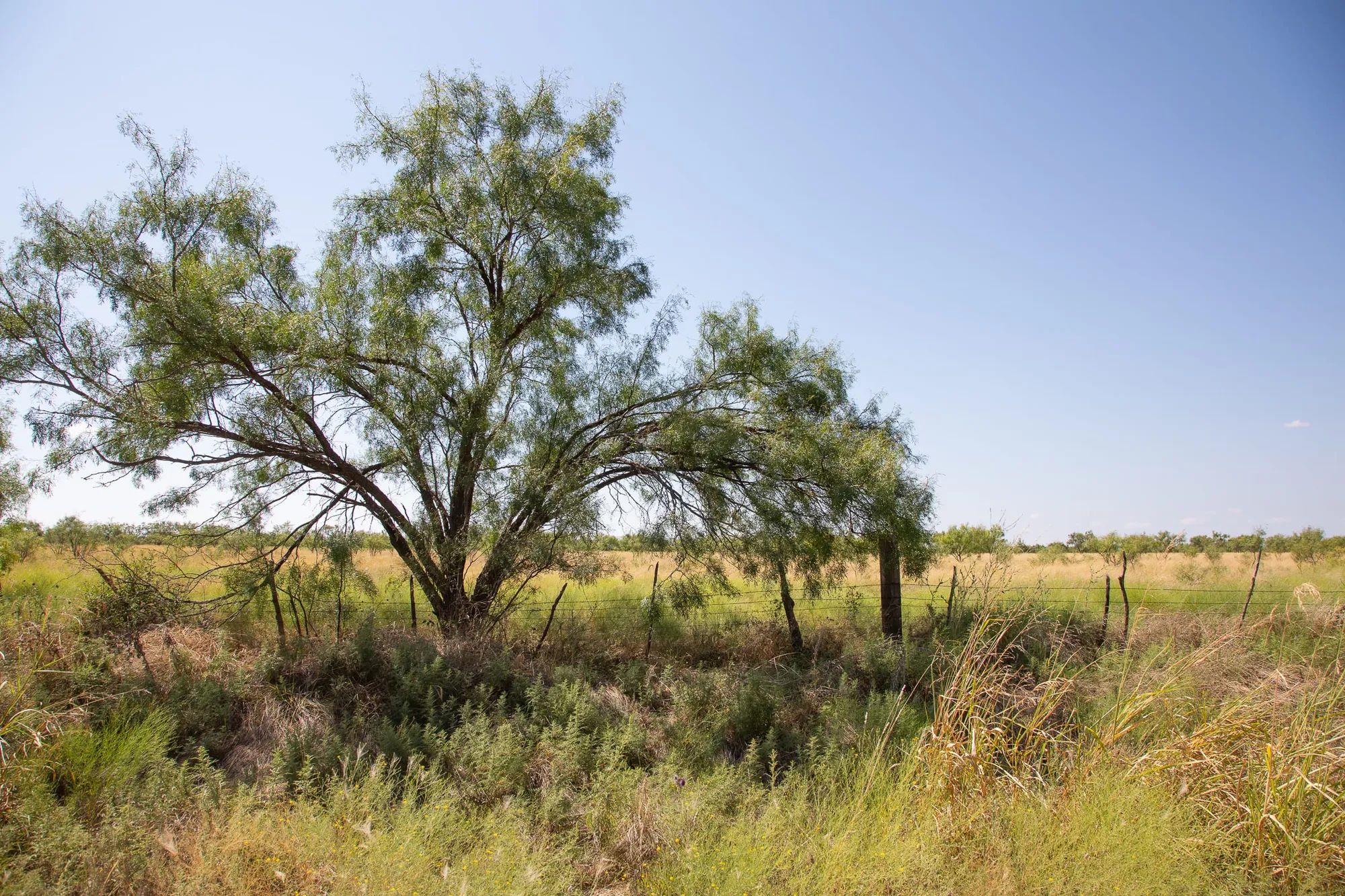 Hunter’s Ranch Tract 7 in McCulloch County, TX