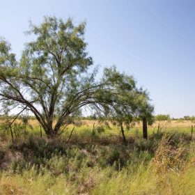 Hunter’s Ranch Tract 7 in McCulloch County, TX