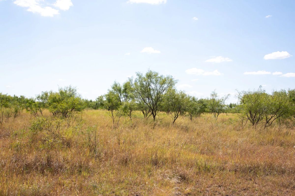 Decorative background for Hunter’s Ranch Tract 7 image 6