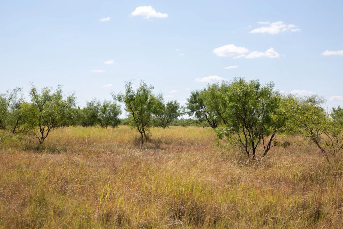 Decorative background for Hunter’s Ranch Tract 7 image 7