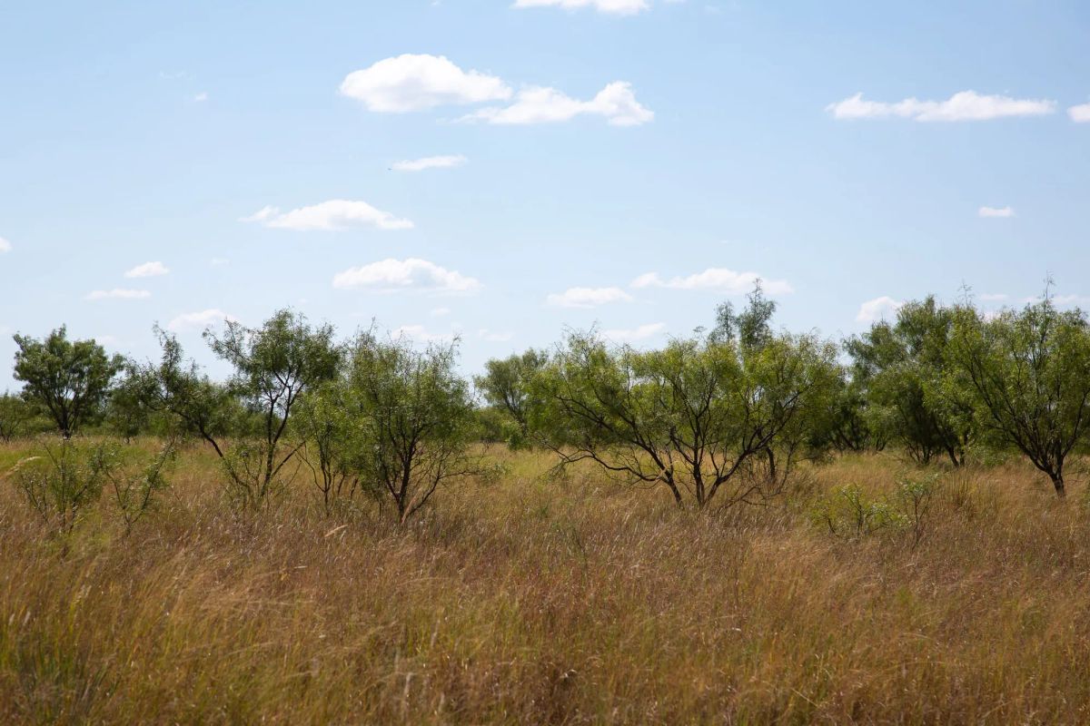 Decorative background for Hunter’s Ranch Tract 7 image 9