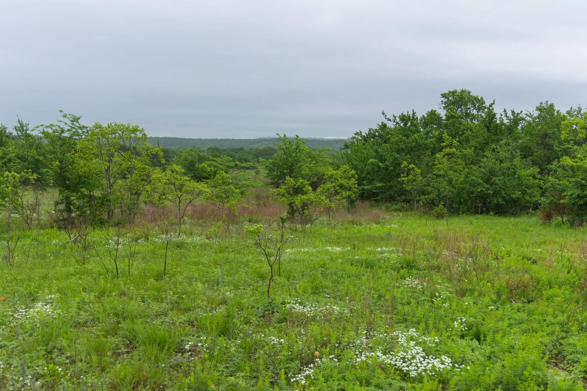 Harmony Hills Tract 6 in Pittsburg County, OK
