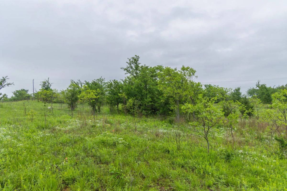 Decorative background for Harmony Hills Tract 6 image 5