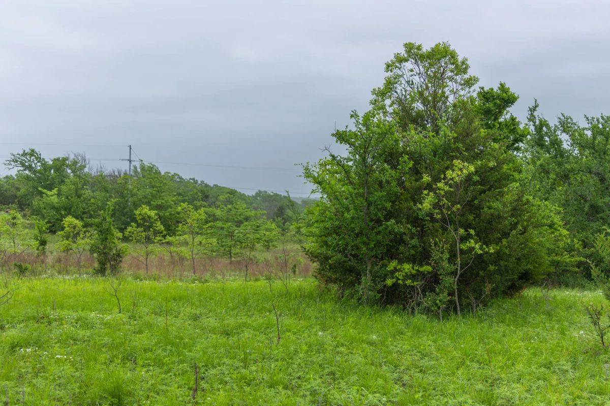 Decorative background for Harmony Hills Tract 6 image 8