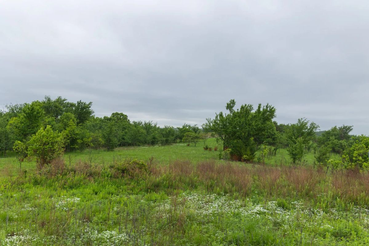 Decorative background for Harmony Hills Tract 6 image 10