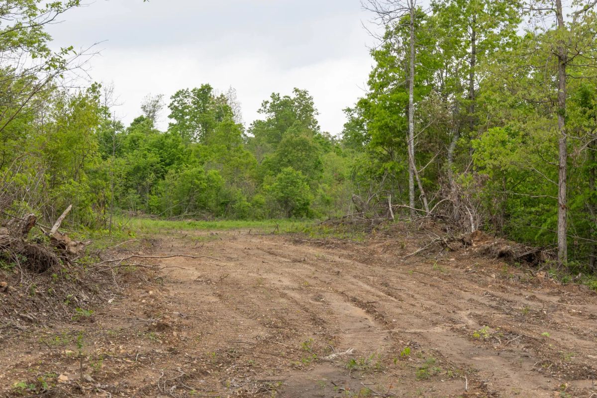 Sleepy Hollow Phase II Tract 98 - Main image