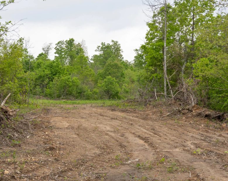 Sleepy Hollow Phase II Tract 98 in Texas County, MO