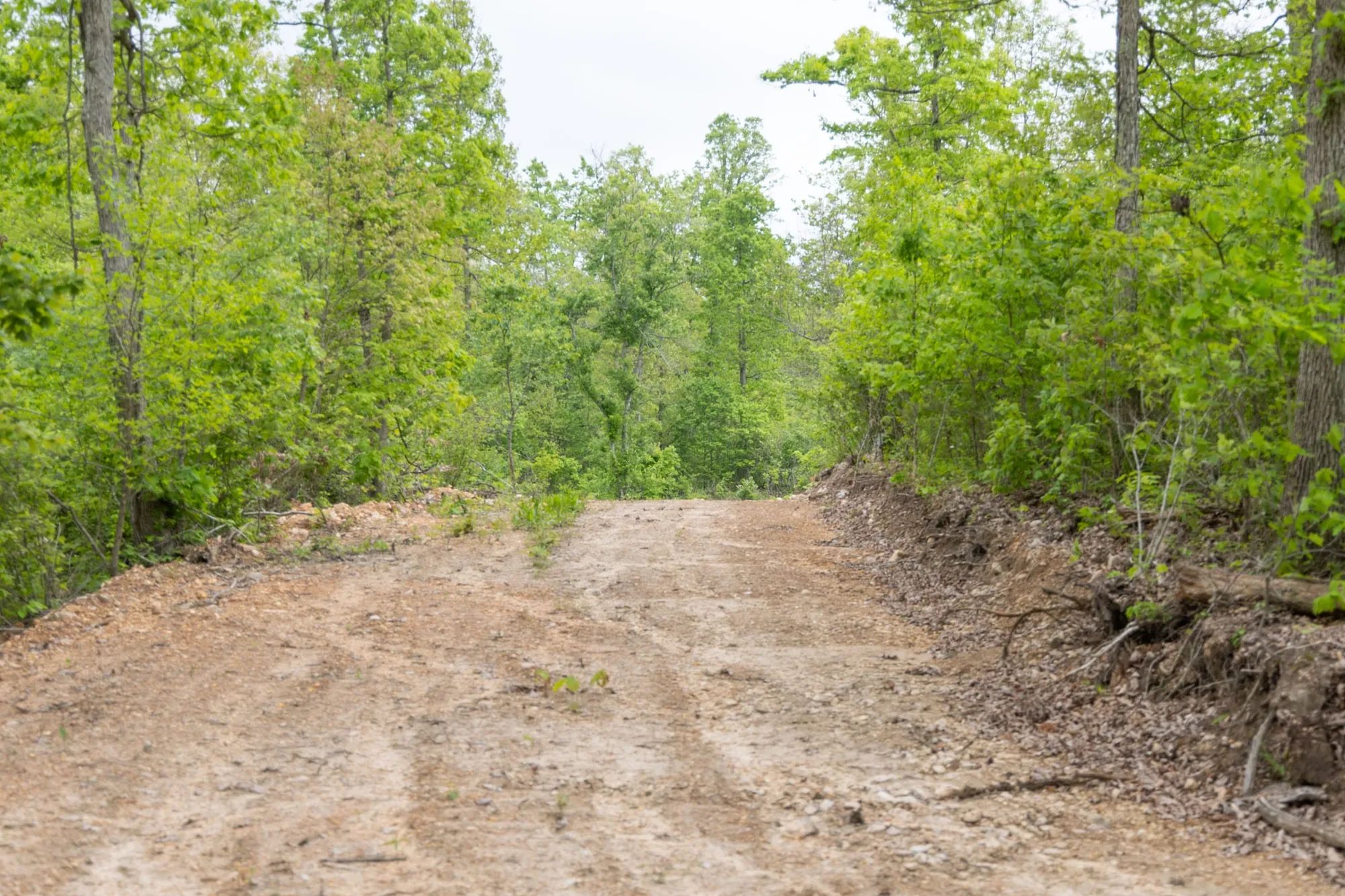 Sleepy Hollow Phase II Tract 98 in Texas County, MO