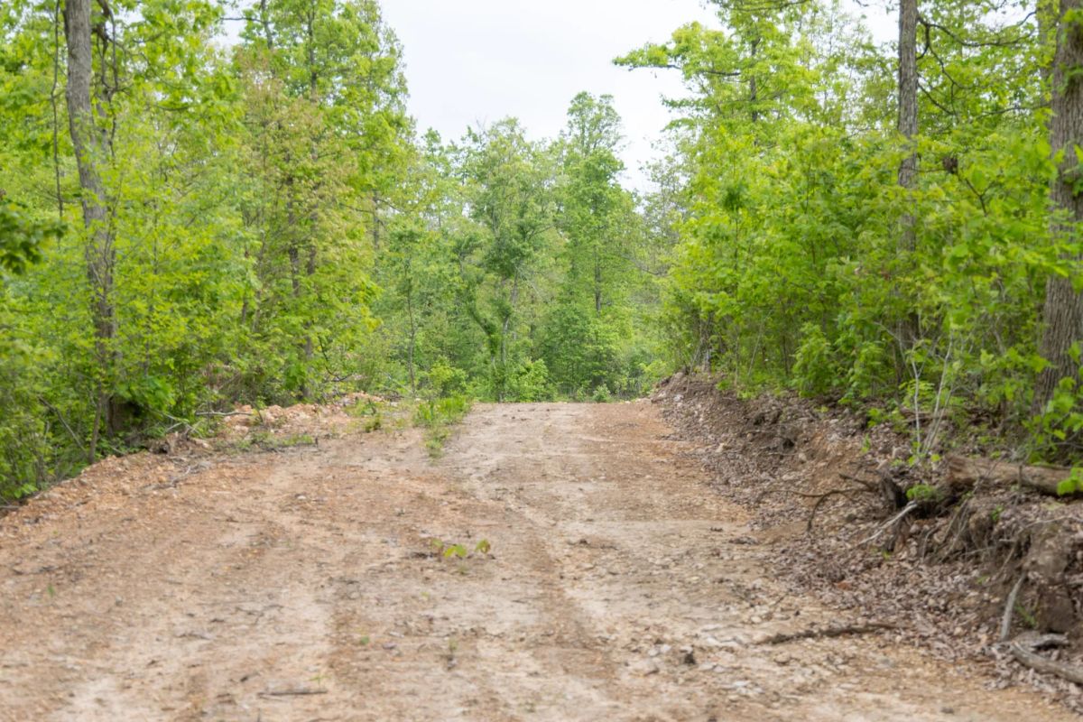 Sleepy Hollow Phase II Tract 98 - Image 2
