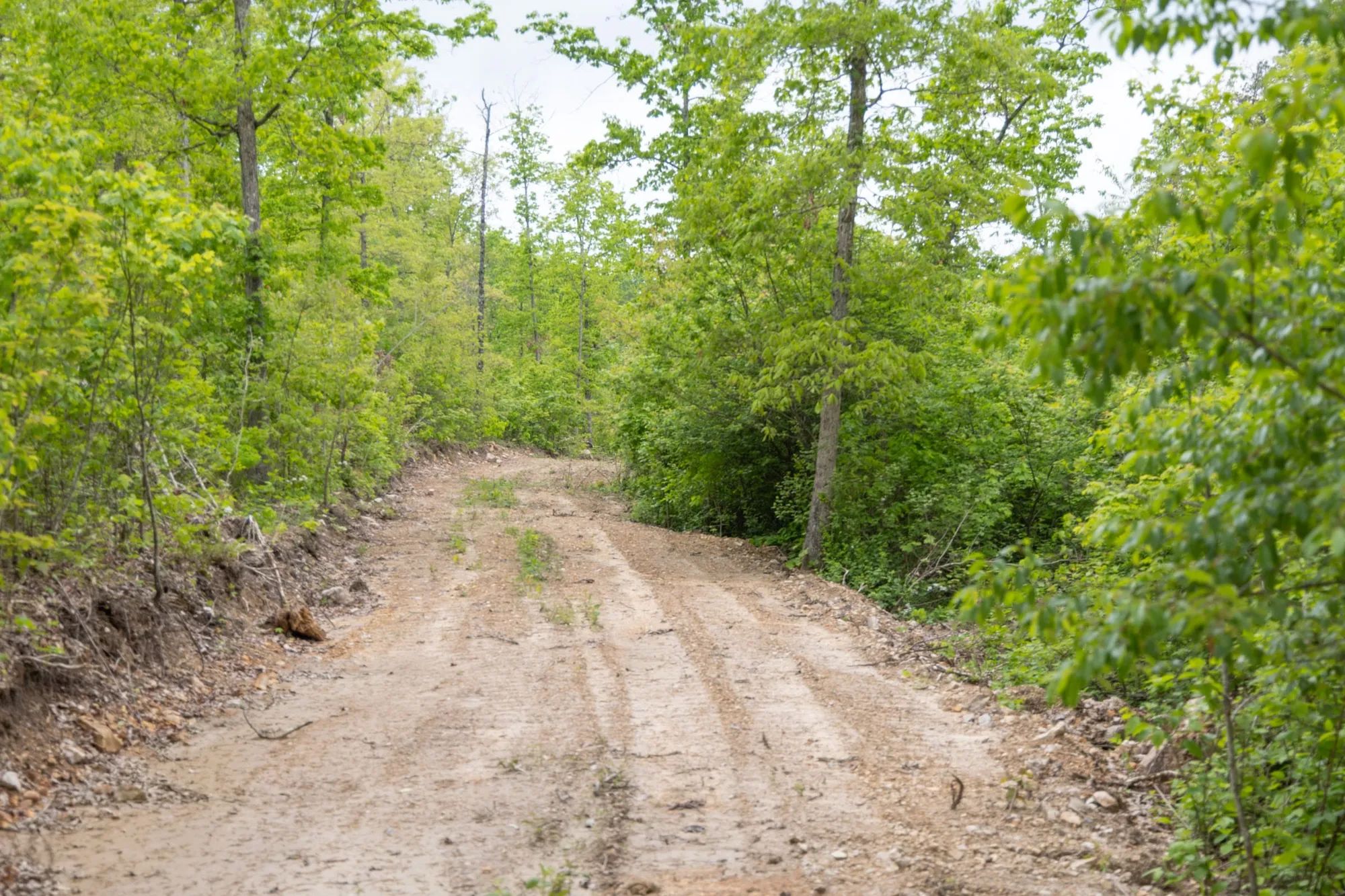 Sleepy Hollow Phase II Tract 98 in Texas County, MO