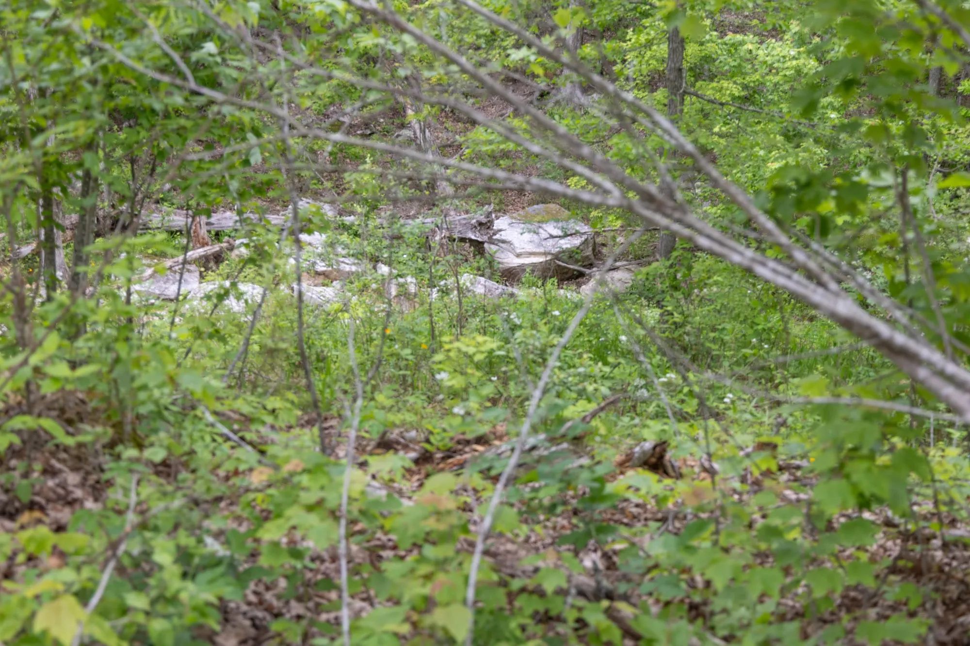 Sleepy Hollow Phase II Tract 98 in Texas County, MO