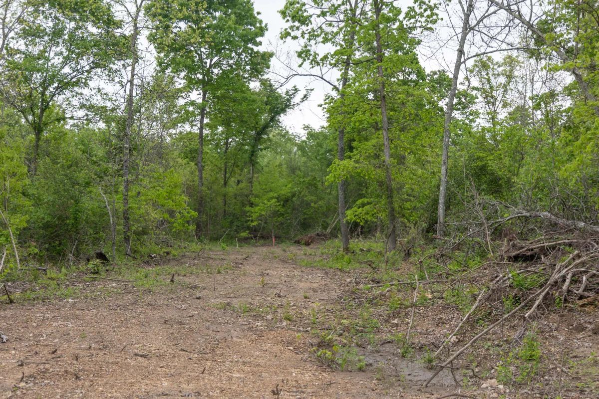 Decorative background for Sleepy Hollow Phase II Tract 98 image 6