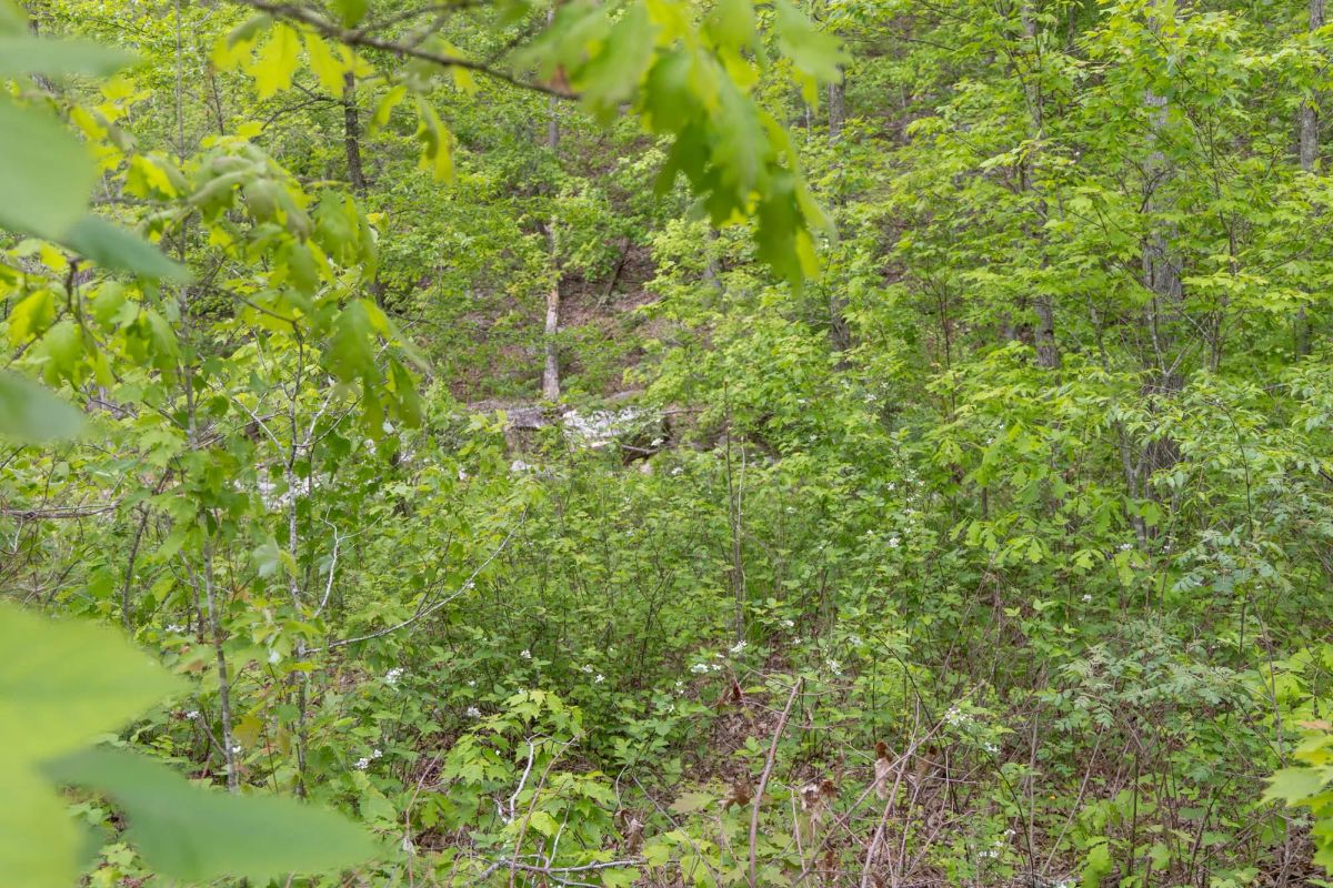 Decorative background for Sleepy Hollow Phase II Tract 98 image 7