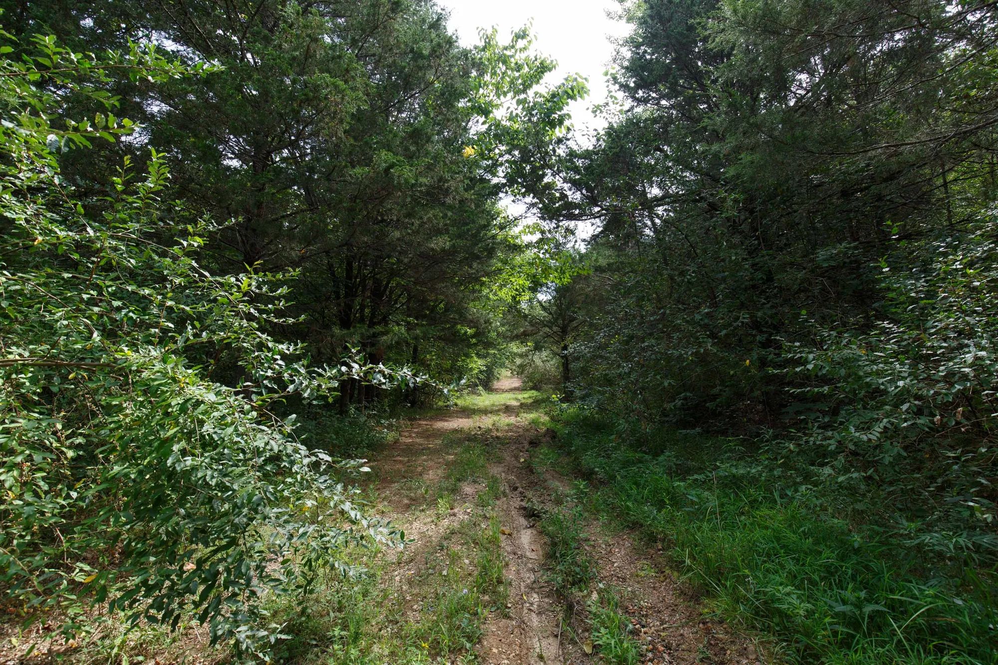 Spring Lake Plat 6 Tract 4 in Miller County, MO