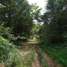 Spring Lake Plat 6 Tract 4 in Miller County, MO