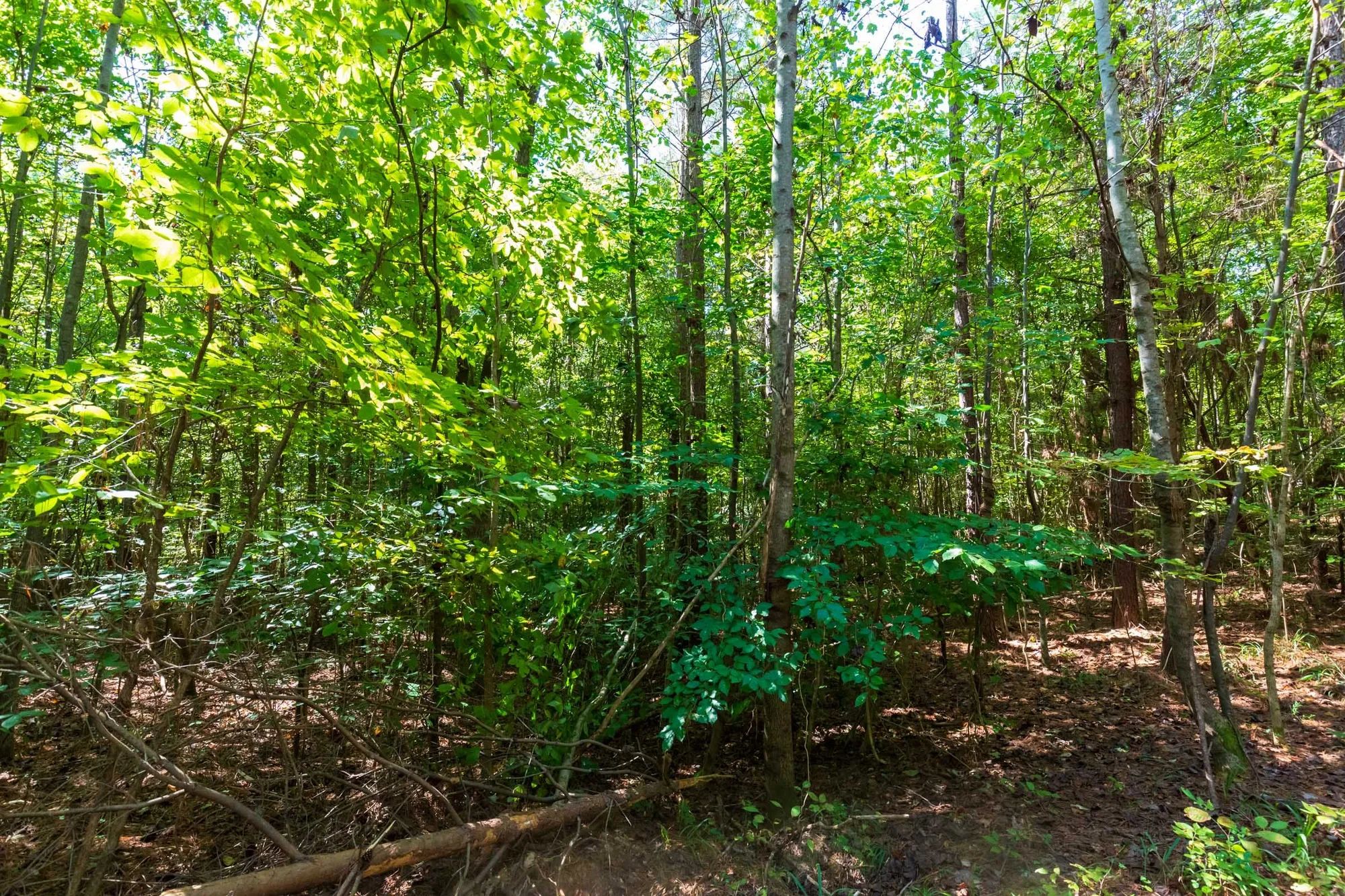 Redemption Ridge Tract 24 in Hardin County, TN