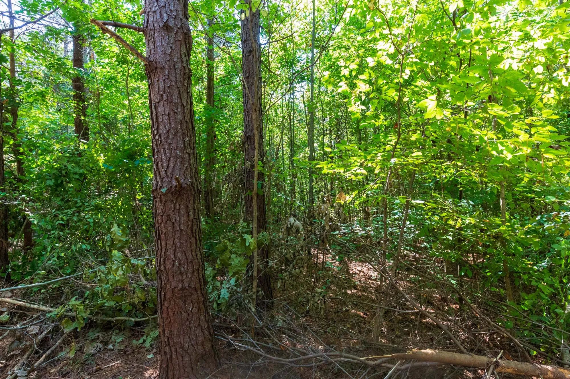 Redemption Ridge Tract 24 in Hardin County, TN