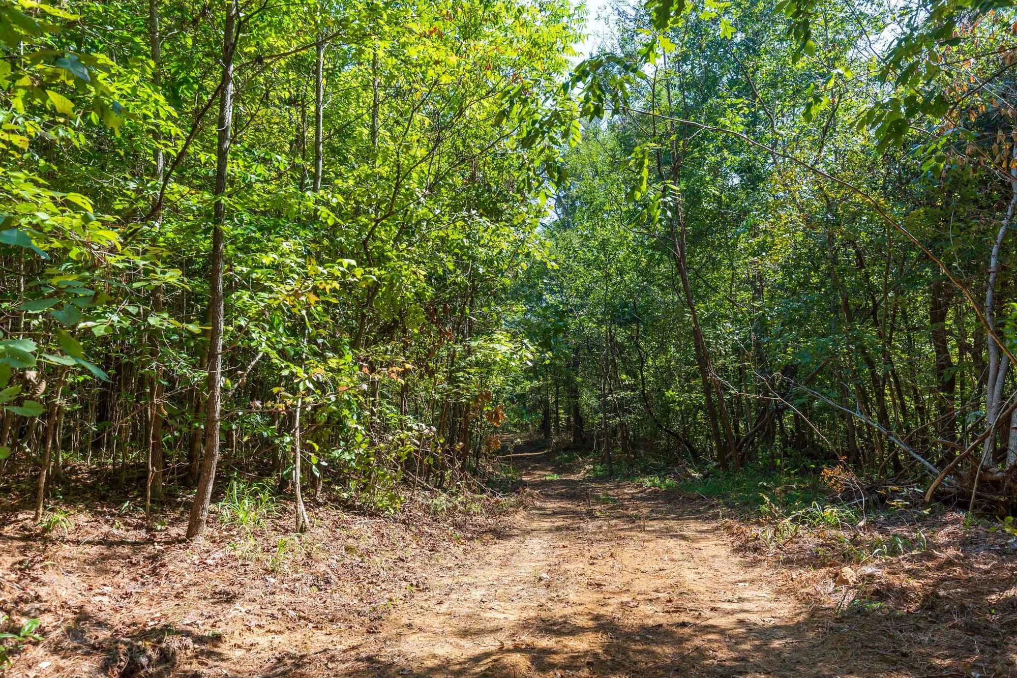 Redemption Ridge Tract 24 in Hardin County, TN