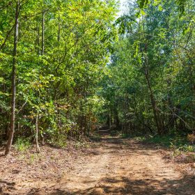 Redemption Ridge Tract 24 in Hardin County, TN