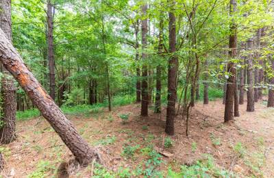Whiskey Ridge Tract 29