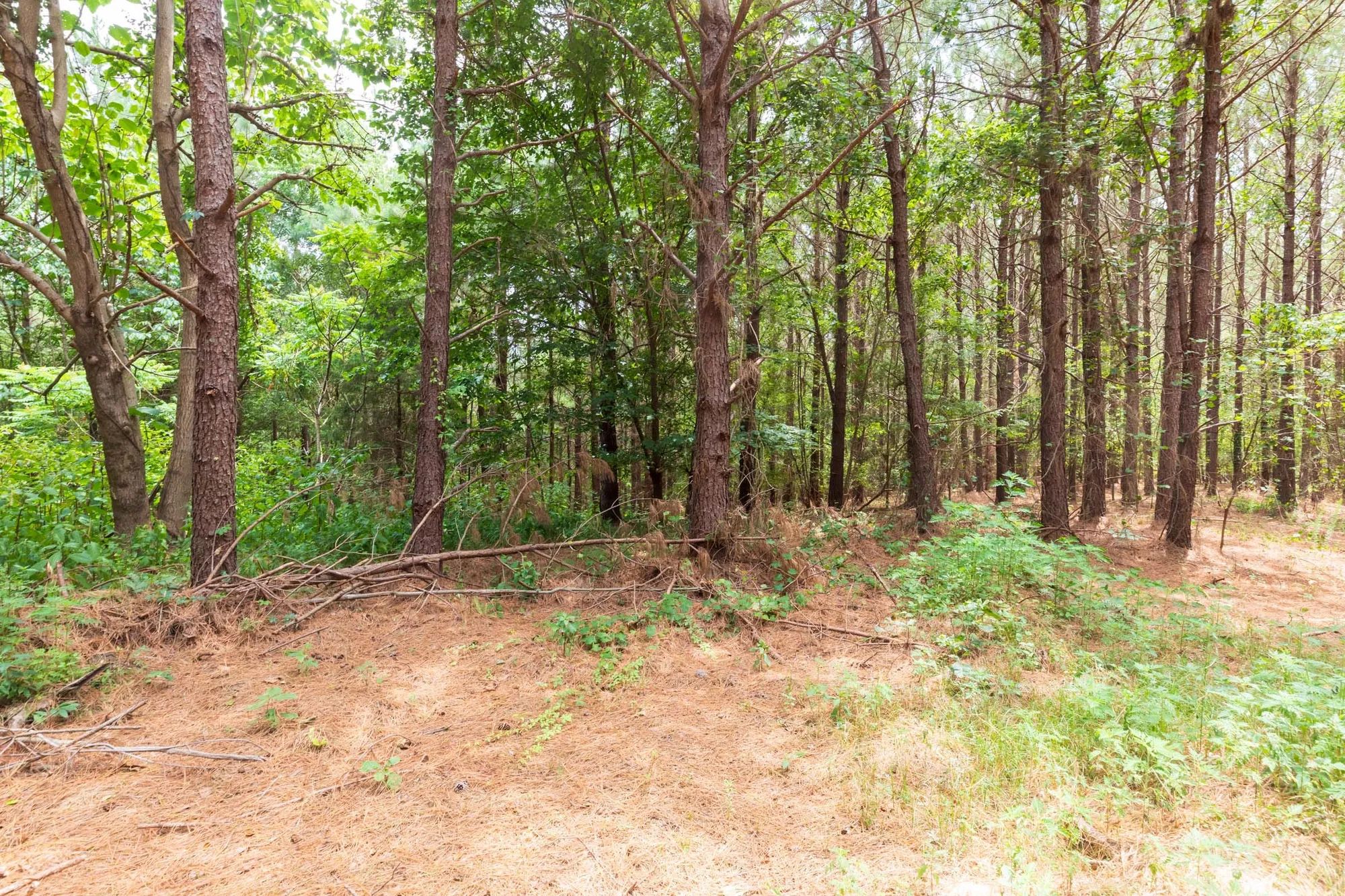 Whiskey Ridge Tract 29 in Henderson County, TN