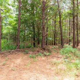 Whiskey Ridge Tract 29 in Henderson County, TN
