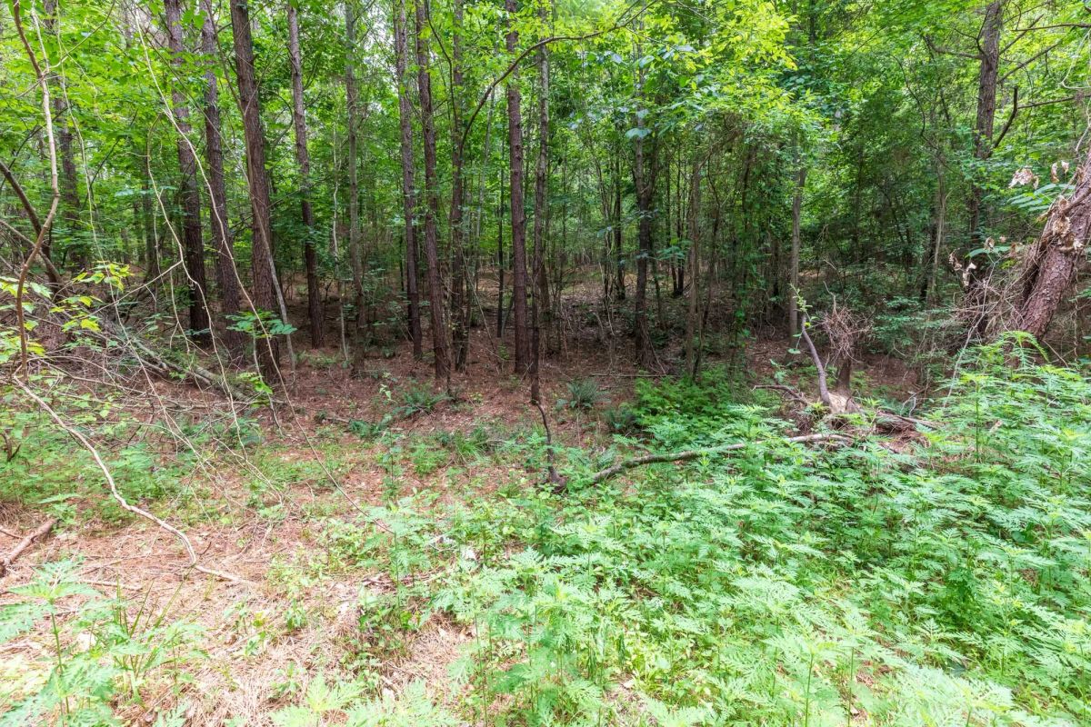 Decorative background for Whiskey Ridge Tract 29 image 10
