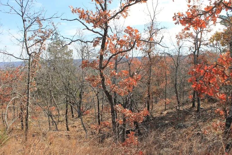 Indian Ridge – Phase I Tract 5 in Pittsburg County, OK