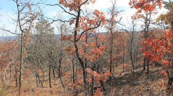 Indian Ridge – Phase I Tract 5 in Pittsburg County, OK