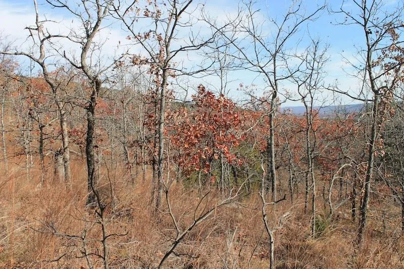 Indian Ridge – Phase I Tract 5 in Pittsburg County, OK