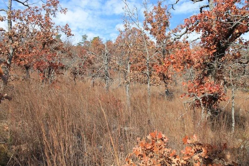 Indian Ridge – Phase I Tract 5 in Pittsburg County, OK