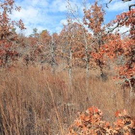 Indian Ridge – Phase I Tract 5 in Pittsburg County, OK