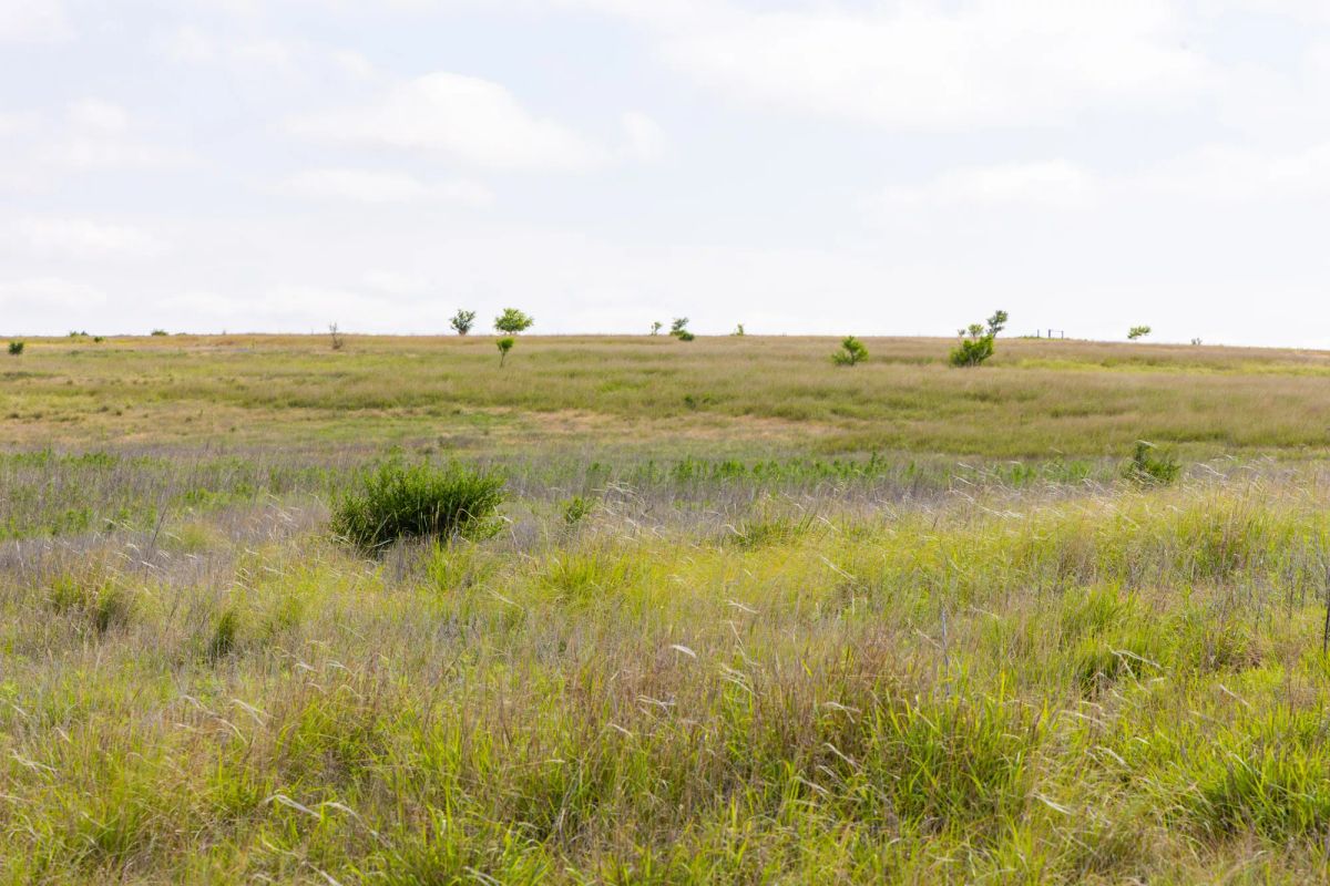 Decorative background for Crandall's Corner Tract 9 image 8