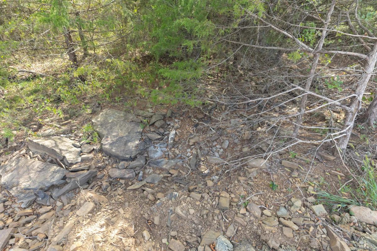 Decorative background for Reserves At Cattail Cove Phase II Tract 71 image 6