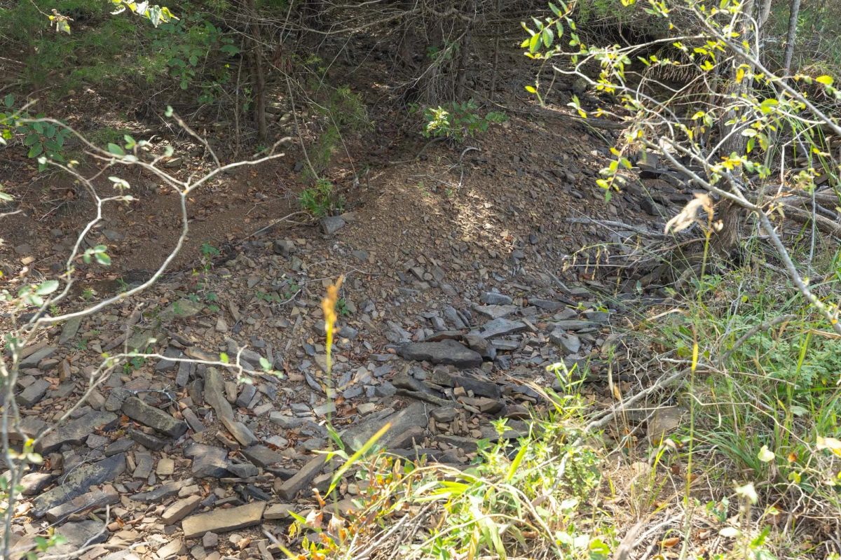 Decorative background for Reserves At Cattail Cove Phase II Tract 71 image 7